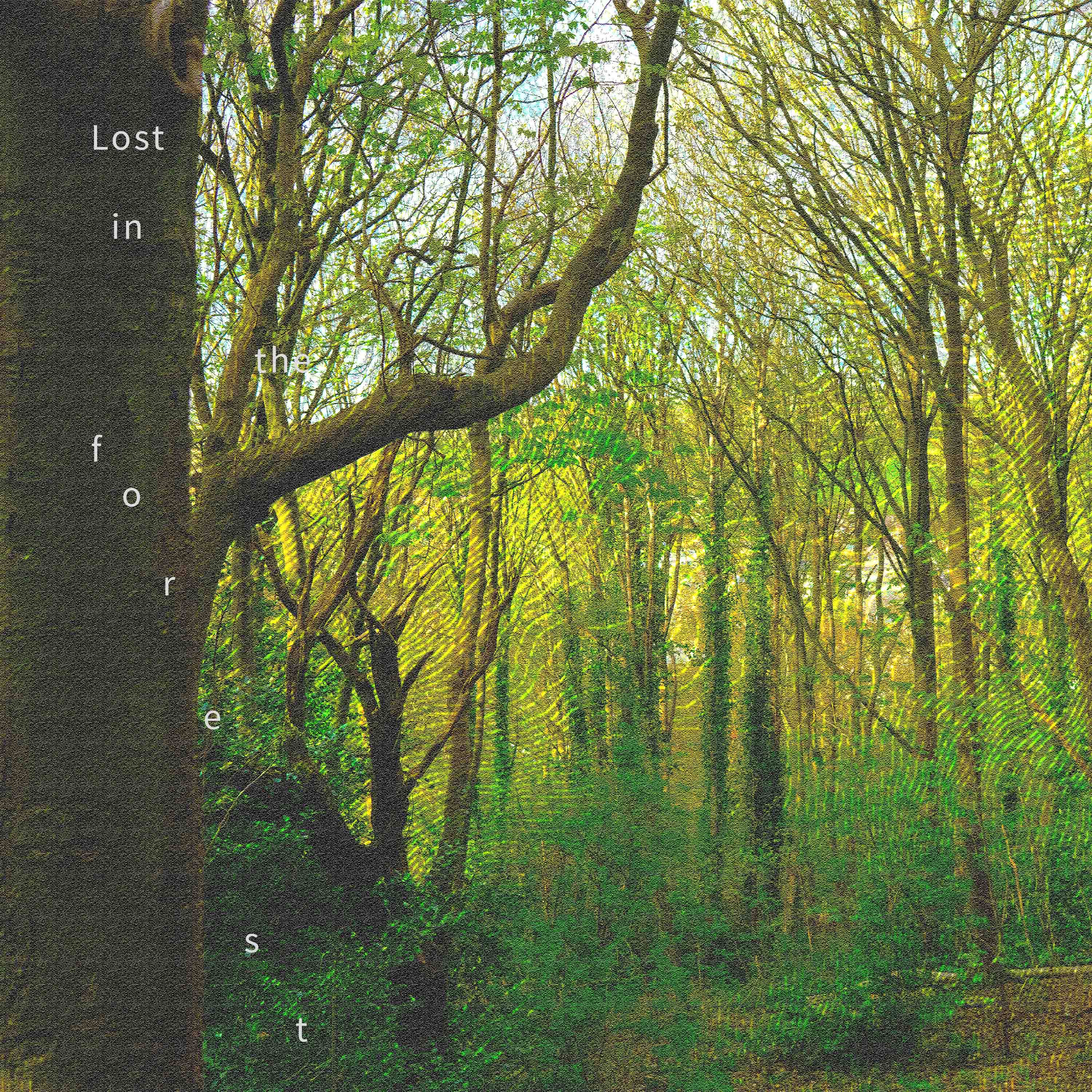 Lost in the Forest Album Artwork